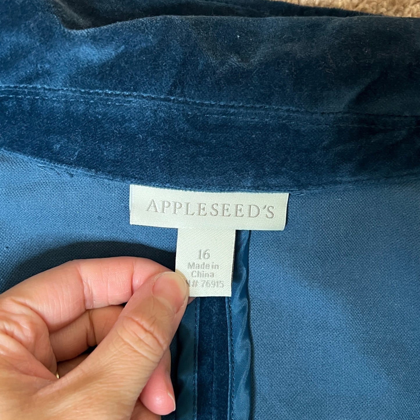 Vintage Y2K Appleseed's Velvet Jacket Size 16 Blue Jewel Tone Whimsigoth Eclectic Holiday