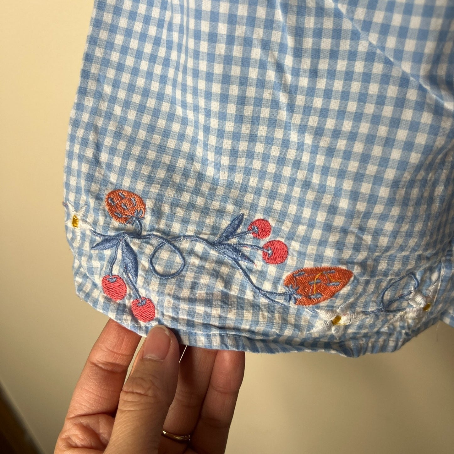 Joie Girls Dress 3T Blue Gingham Embroidered Strawberry Cottage Spring Dainty